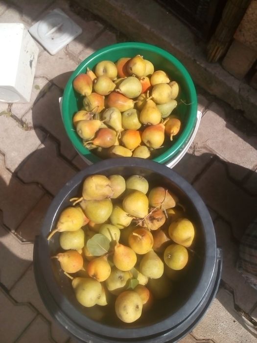 Продам дачу за с.Тарханка