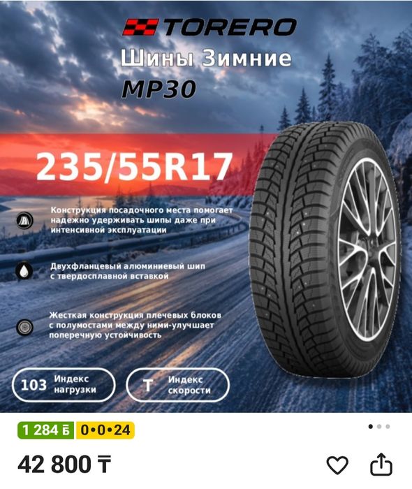 Зимние автошины с шипами