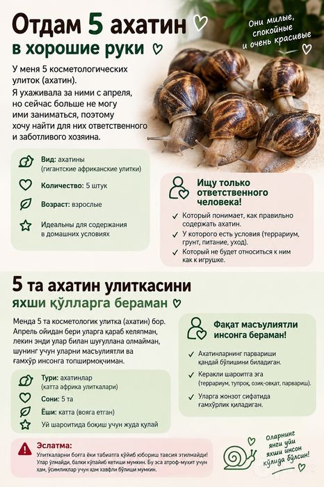 Улитки отдам даром