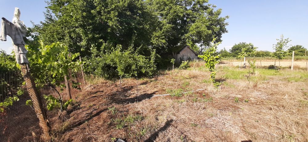 Продава се Земеделски имот в с. Конуш, Област Пловдив -  кв.м за 20000 €/дка - Снимка #4