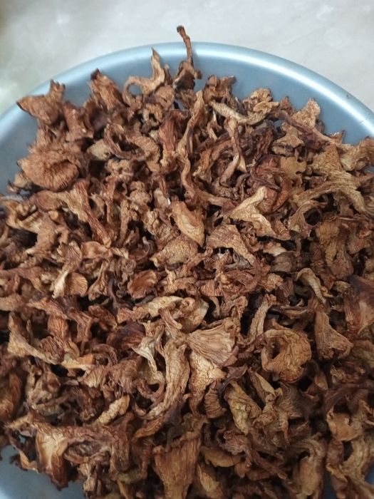 Сушеные лесные грибы урожай 2024 годагода