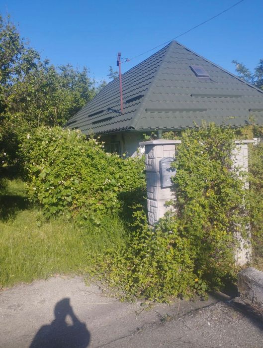 Vând casă+sura+teren 86 ari intravilan in Buciumi