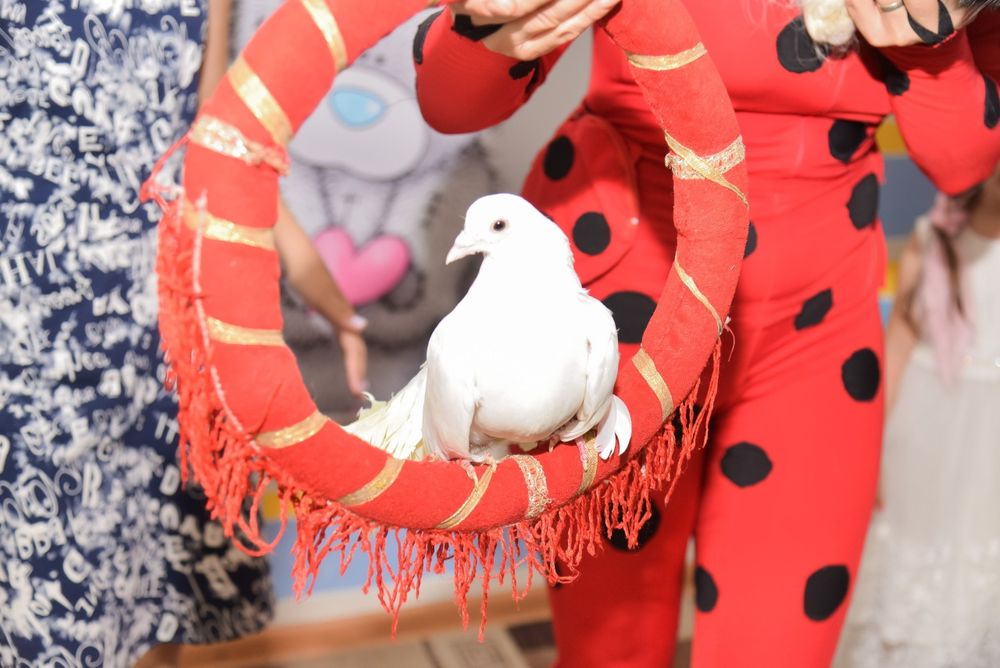 Аниматоры Костанай