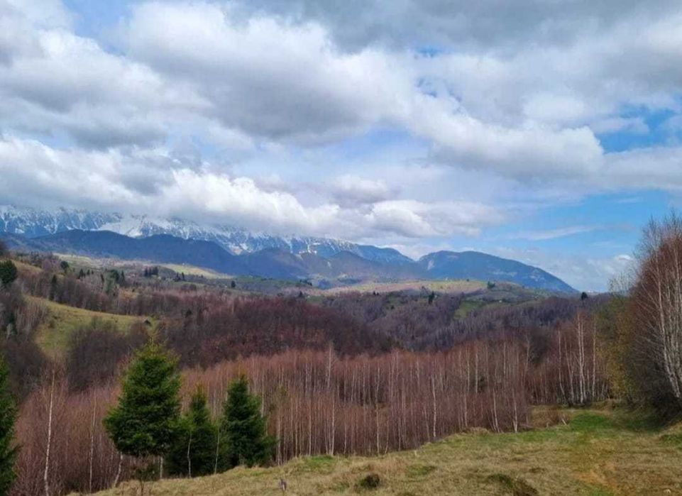 Vând 1130 mp teren Moieciu, cu mare potențial investițional. PREȚ NEGOCIABIL!