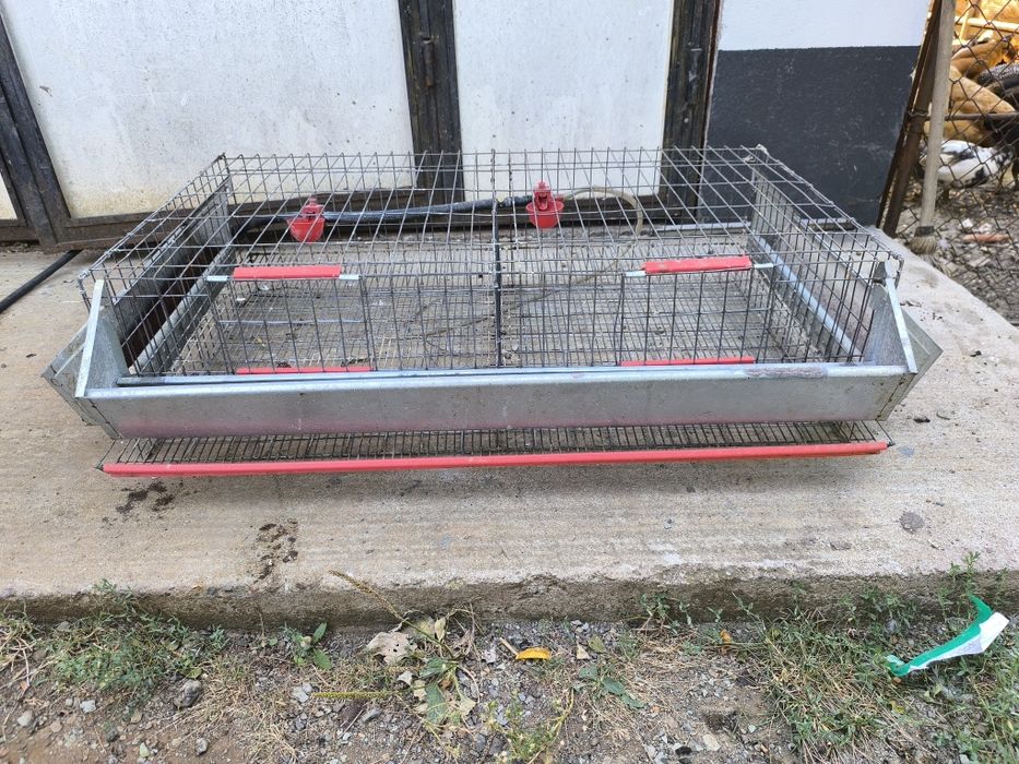 Vând cușcă prepelițe