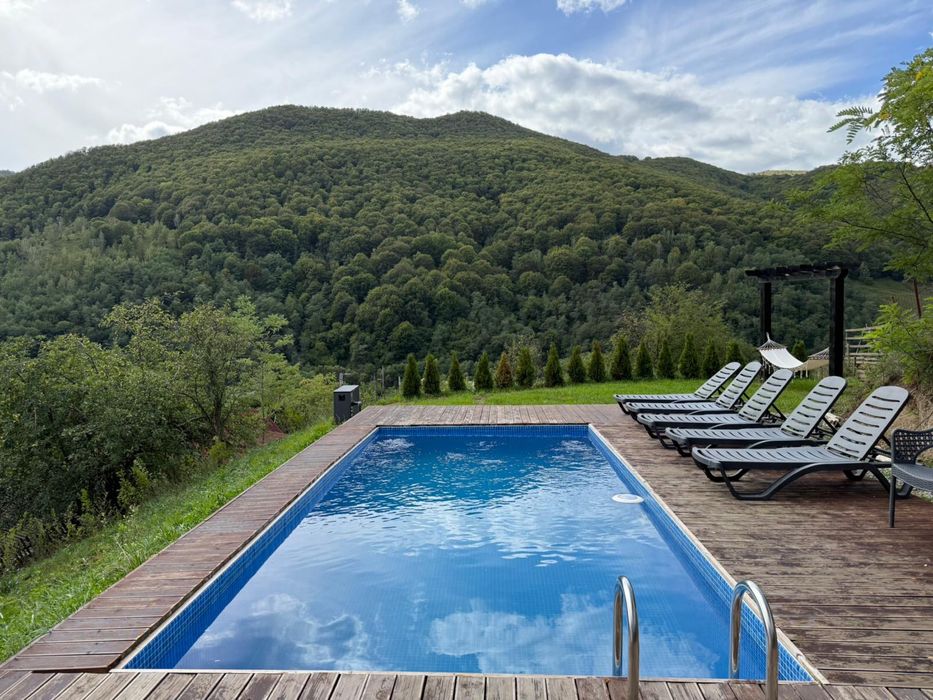 Cabana de închiriat cu piscina si ciubar