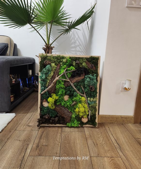 Картини със скандинавски мъх