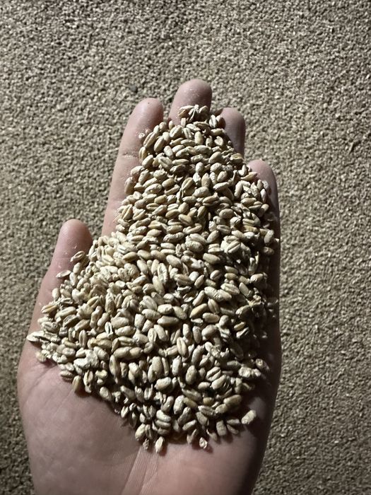 Комбикорм Кормовая мука