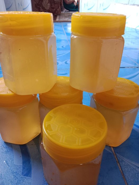 Мед каракол горная