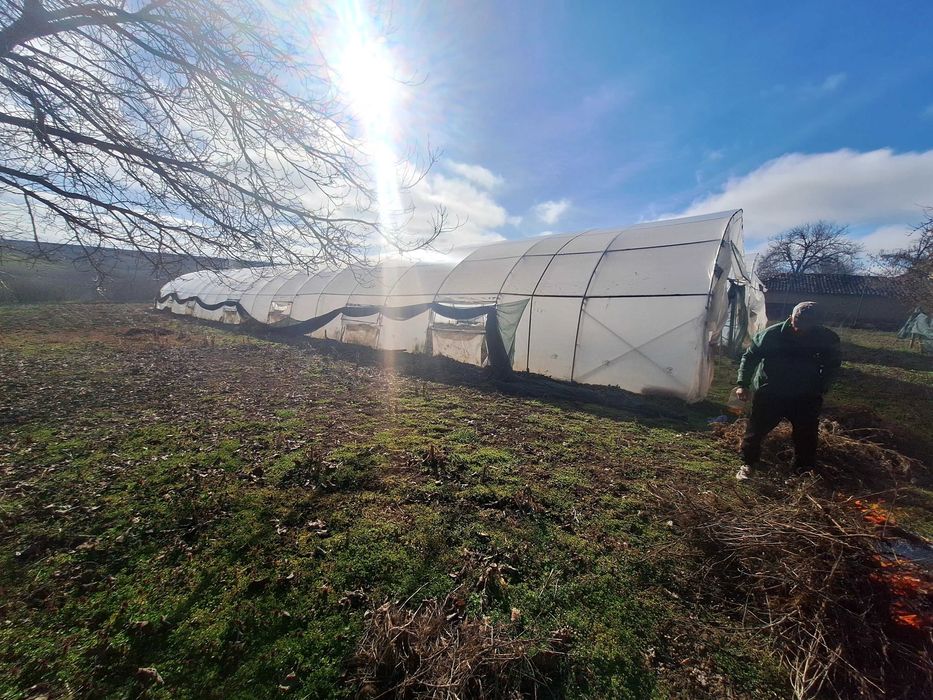 Продавам оранжерии Тервел