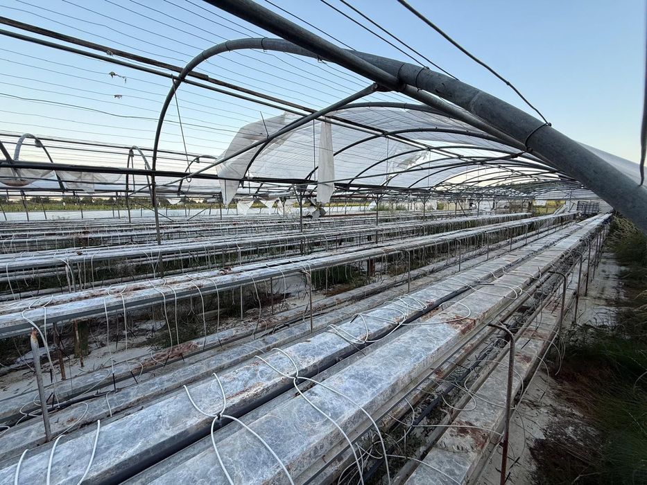 Vând structură metalică pentru seră – 23 ari