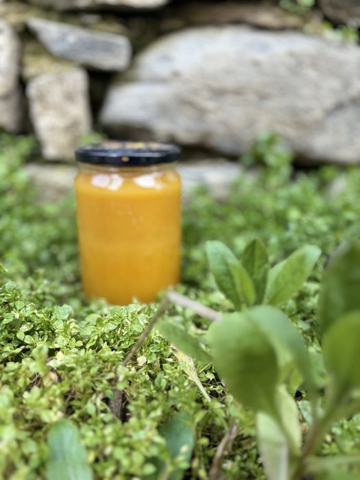 Натурален домашен пчелен и манов мед – директно от пчелар