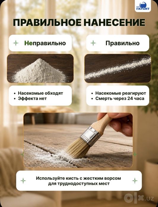 Эко Абсолют от клопов и блох и других насекомых