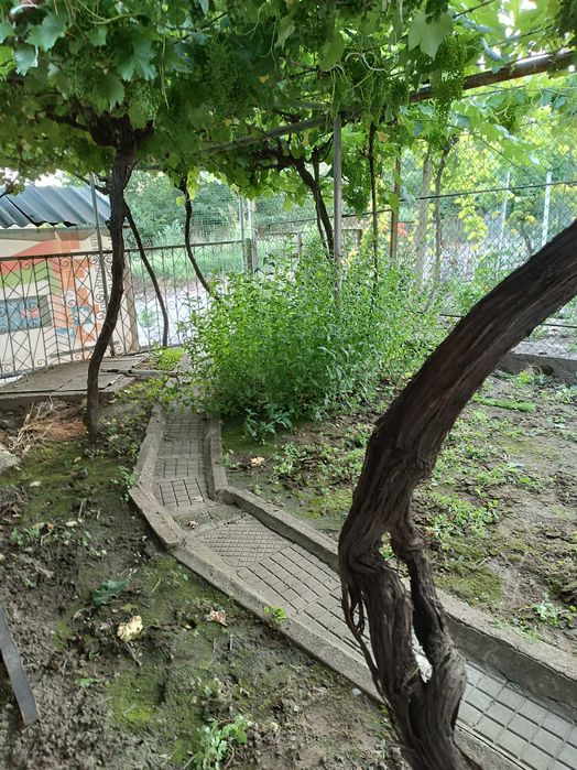 Продава се Къща в с. Хаджидимитрово, Област Велико Търново - 155 кв.м за 265 €/кв.м - Снимка #10