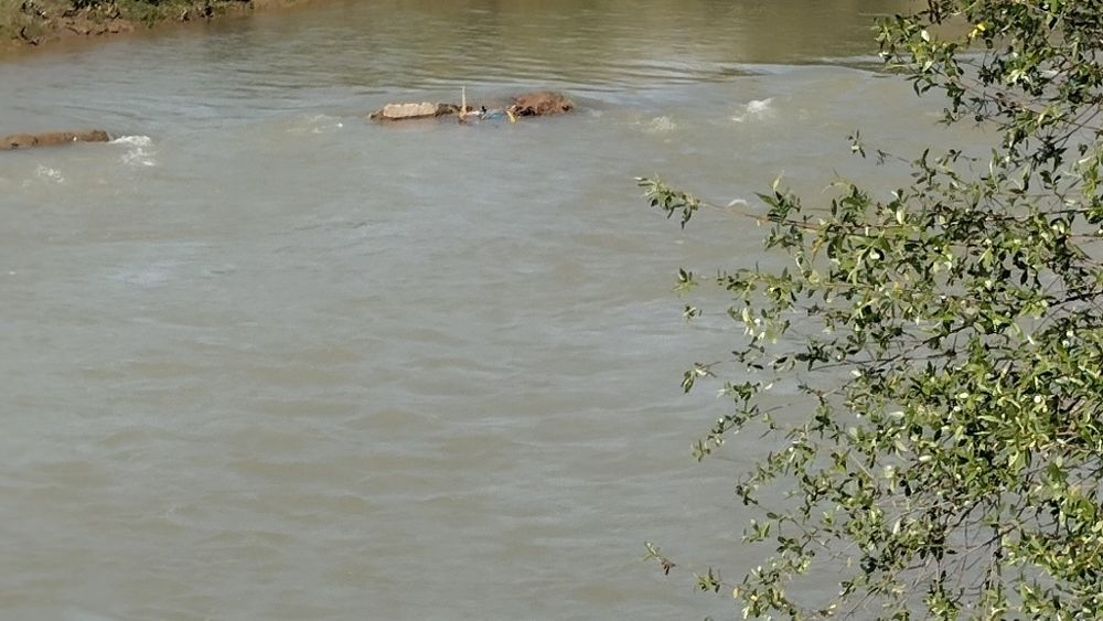 Срочно 6 сотих ер сотилади