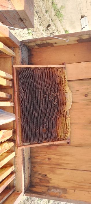 Asal yashiklari sotiladi 4 tasi optom