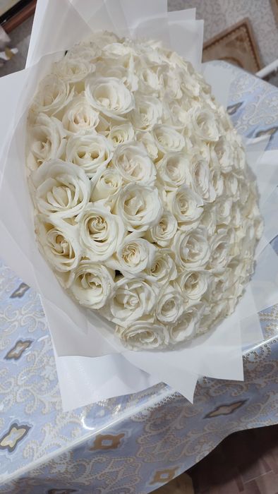 Розы белые 101 штука