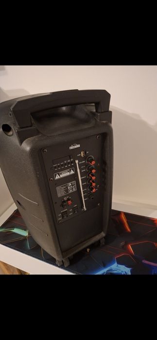 Boxa Portabila Freeman 80w