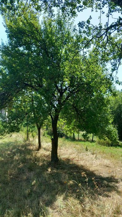 Teren intravilan 1700 m2 cu toate utilitatile oras Babeni str Romani