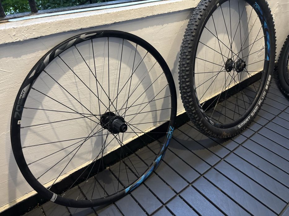 Капли Giant 29-ки tubeless