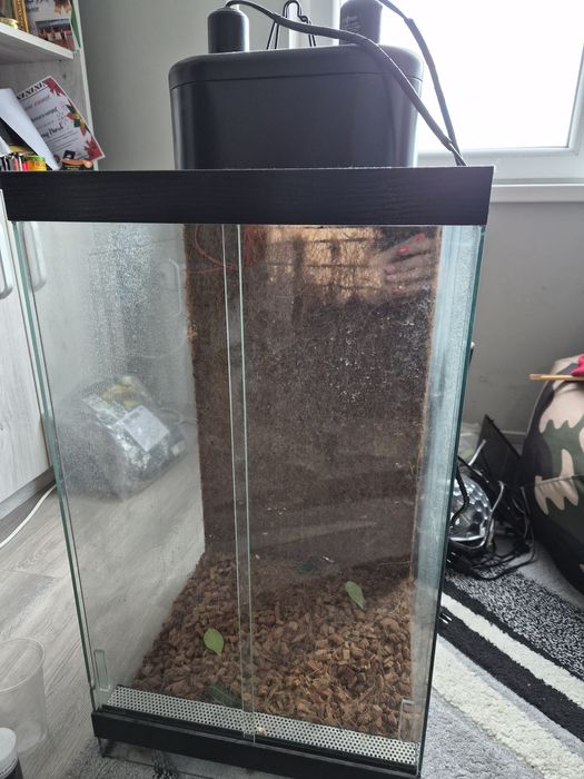 Терариум за влечуги