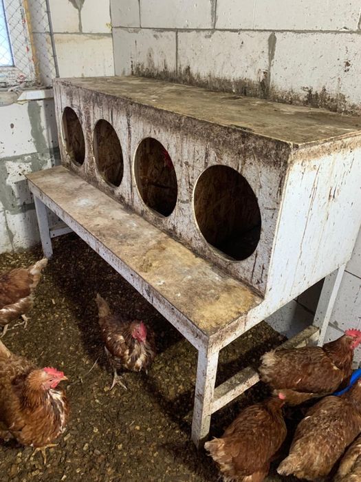 клетка для кур на заказ