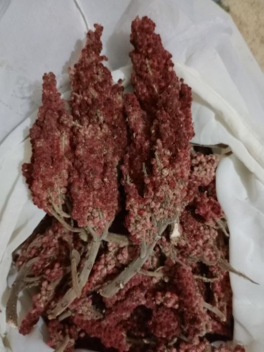 Иван чай и сумах