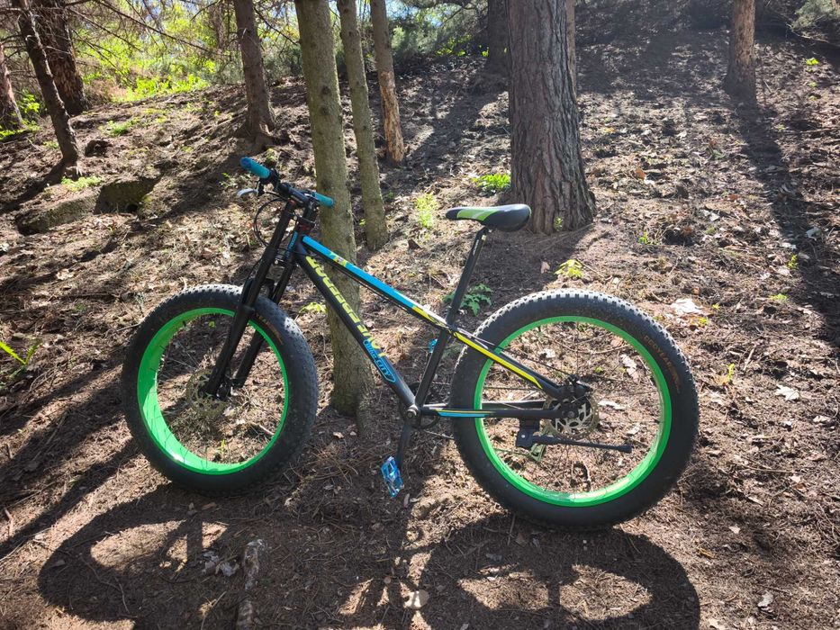 Fat bike freedom