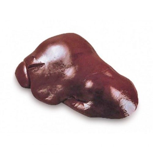 Sifatli qoʻy jigar mahalliy qoʻy jigari