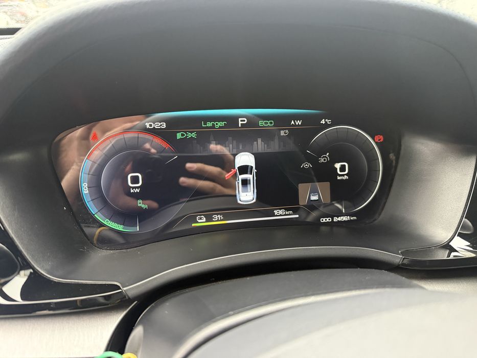 Byd chempion honor srochna