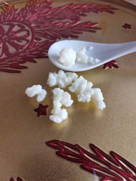 Тибетските кефирени зърна. КЕФИР