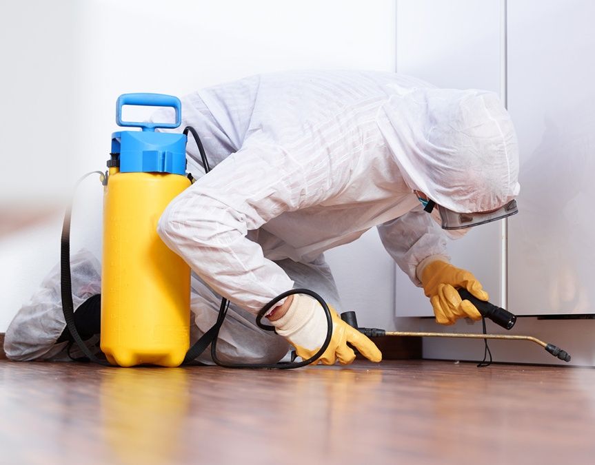 Дезинфекция, дезинсекция, дератизация город Астана!