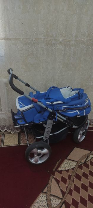 Коляска ETONICO зима-лето