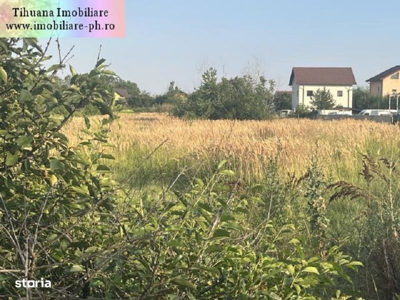Teren de vanzare - Blejoi-(sat Ploiestiori)