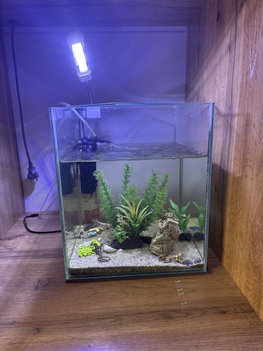Продается аквариум с рыбками. 30 л