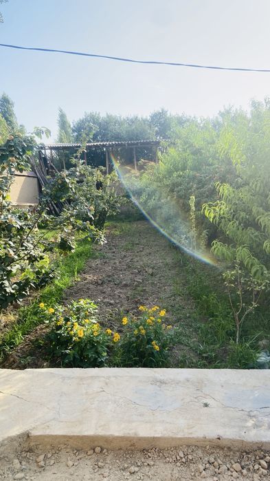 Uchastkadan yer boʻlib sotiladi