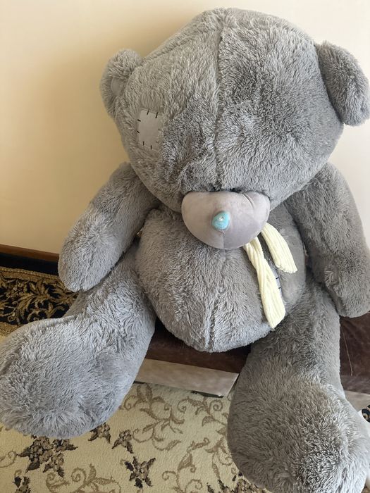 Yangi teddi ayiqchasi