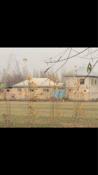 Ищю Партнера для запуска Молочного цеха