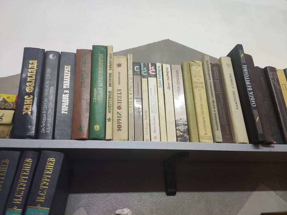 Художественные книги