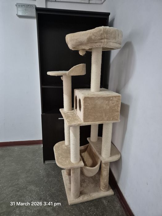 Ansamblu joacă pisici – ca nou