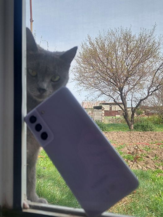 Прадам Samsung  s21 fe 5 g