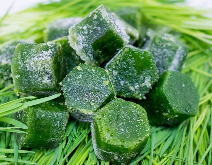 Vitgrass yangi ostrilgan bugdoy suvi