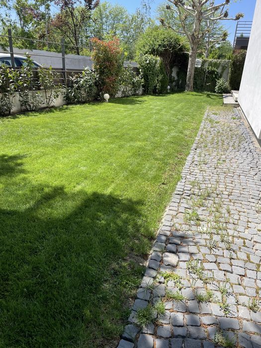 Mentenanta spati verzi Complexuri , gradini terasa private !!!