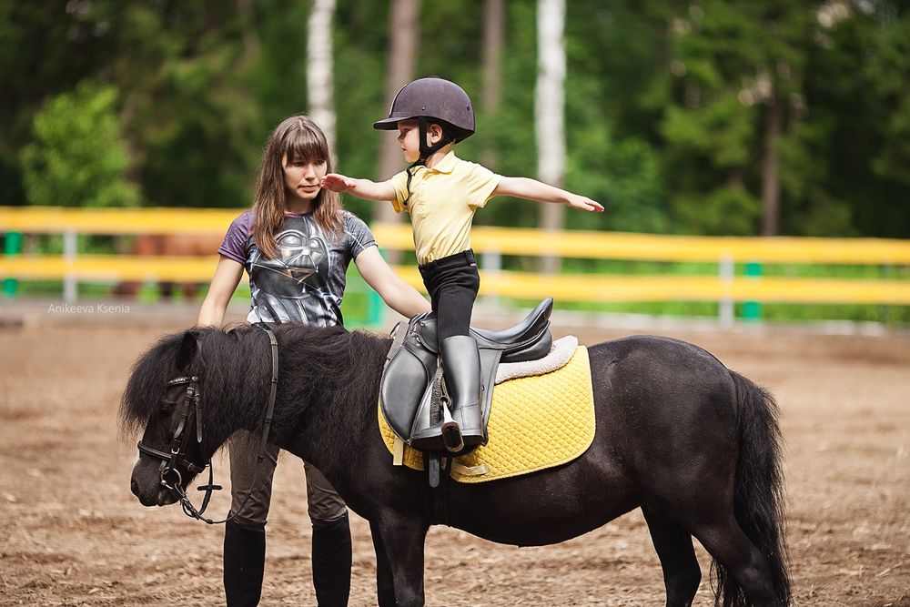 Ot minish mashg'uloti уроки верховая езда