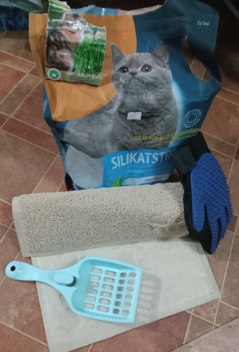 Всё для кошек отдам срочно