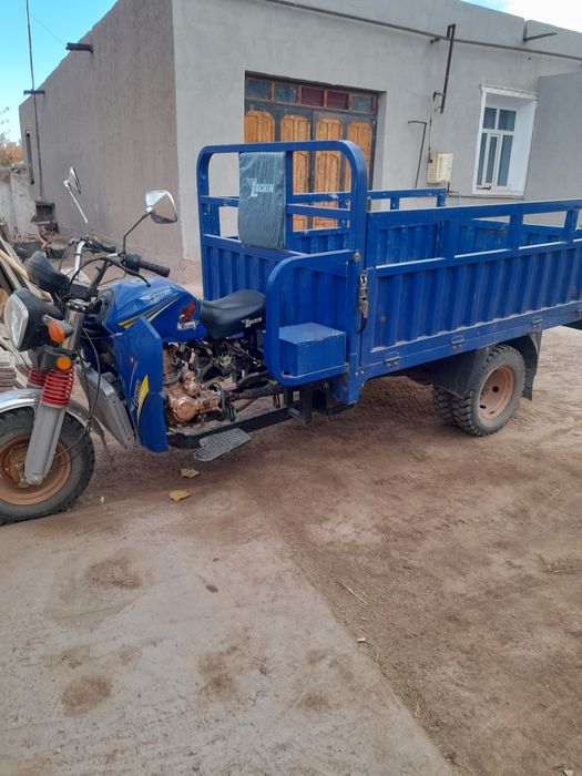 Locin mato garantiya