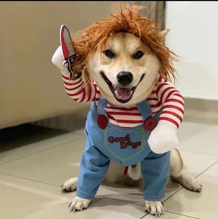 Костюм для собаки