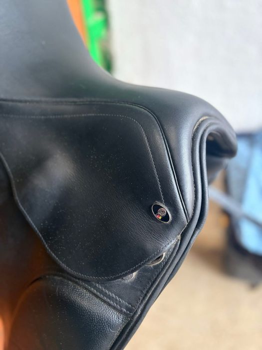 Sa dresaj Waldhausen 17.5