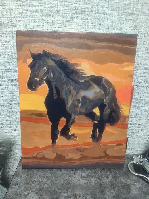 Картина по номерам, готовая