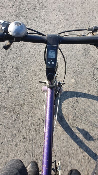 Велик германский сотилади